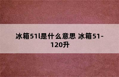 冰箱51l是什么意思 冰箱51-120升